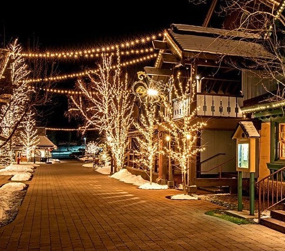 Solar Outdoor Fairy String Lights 200 LED - White